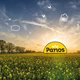Le printemps est arrivé: que faire?