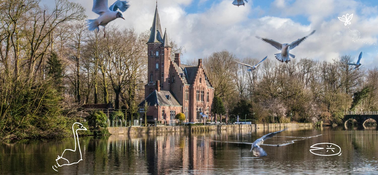 ALL-DEVICES_BEELD-BODY-TEKST-Lunchplekje-Brugge-Minnewaterpark-1418-X-658.jpg